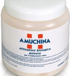 
ATTIVATORE BIOLOGICO IN POLVERE 


Attivatore biologico in polvere.
 
Attivatore biologico a base di una elevatissima concentrazione di spore batteriche selezionate non patogene, arricchito con enzimi liberi, elementi nutritivi e stabilizzanti. L’uso regolare del prodotto garantisce la manutenzione dei pozzetti di pre-trattamento e delle fosse biologich
